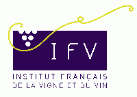 Institut Français de la vigne et du vin